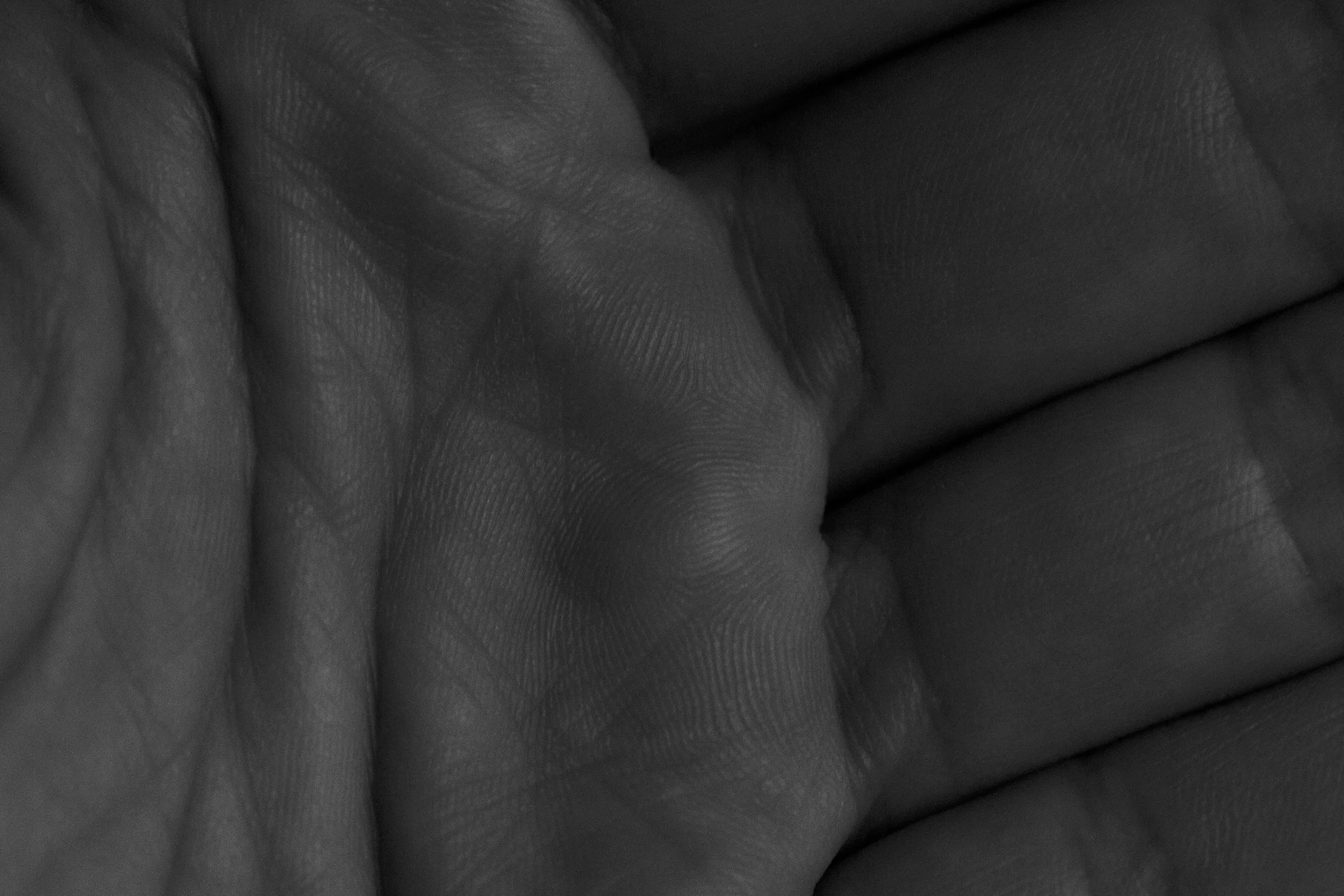 Éclosion IV ·